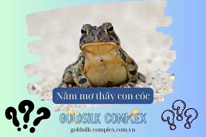 Giải mã ý nghĩa giấc mơ thấy cóc