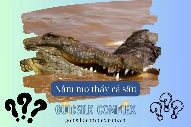 Giải mã ý nghĩa nằm mơ thấy cá sấu: Điềm lành hay dữ?