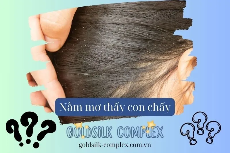 Giải Mã Ý Nghĩa Từng Trường Hợp Nằm Mơ Thấy Chấy