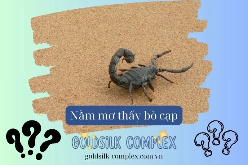 Góc nhìn tâm linh về giấc mơ thấy bò cạp