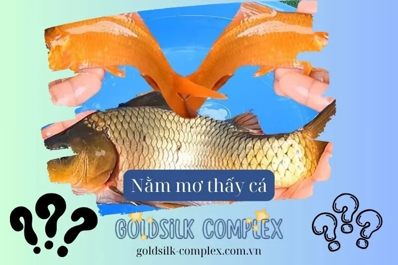 Màu sắc của cá trong giấc mơ báo hiệu điều gì