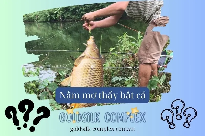 Mơ Thấy Bắt Cá Chép - Biểu Tượng Của Sự Thành Công