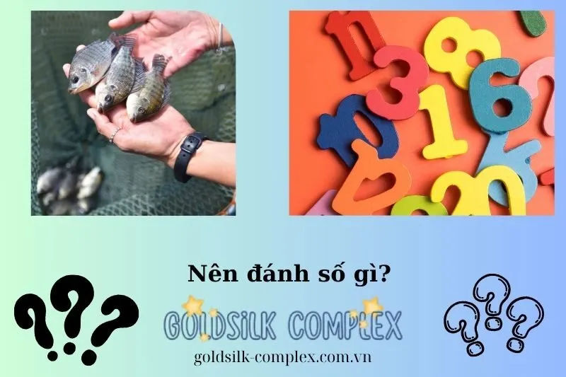 Mơ thấy cá rô nên đánh con gì