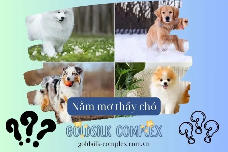 Mơ thấy các loại chó khác nhau – Ý nghĩa chi tiết