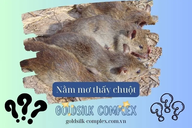 Mơ thấy chuột đen và chuột trắng: Điềm lành hay dữ