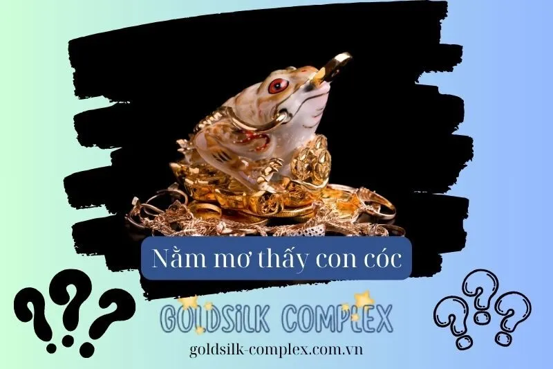 Mơ thấy cóc ngậm tiền: Dự báo về tài lộc và cơ hội tài chính