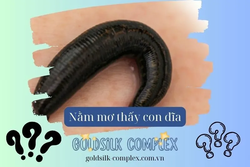 Mơ thấy đỉa bám vào chân, cơ thể: Cảnh báo và giải pháp