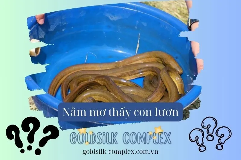 Mơ thấy lươn trong các tình huống khác nhau