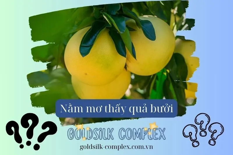 Mơ Thấy Mua Bưởi Và Những Thử Thách Có Thể Gặp Phải