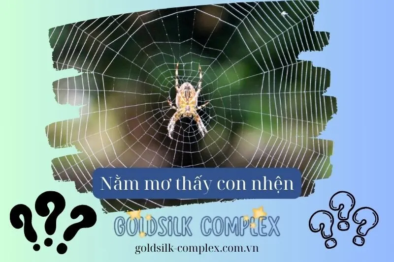 Mơ thấy nhện báo hiệu những khó khăn gì trong công việc và cuộc sống