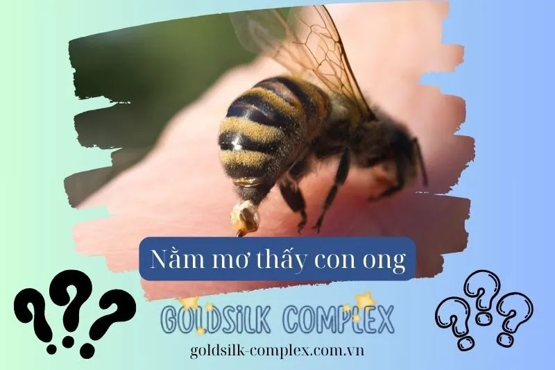 Mơ thấy ong đốt: Điềm báo về sự nghiệp và thành công