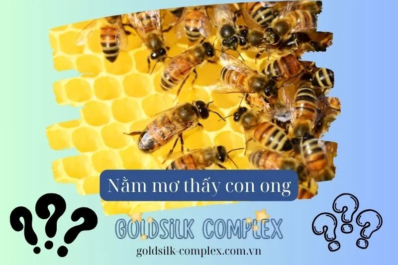 Mơ thấy tổ ong