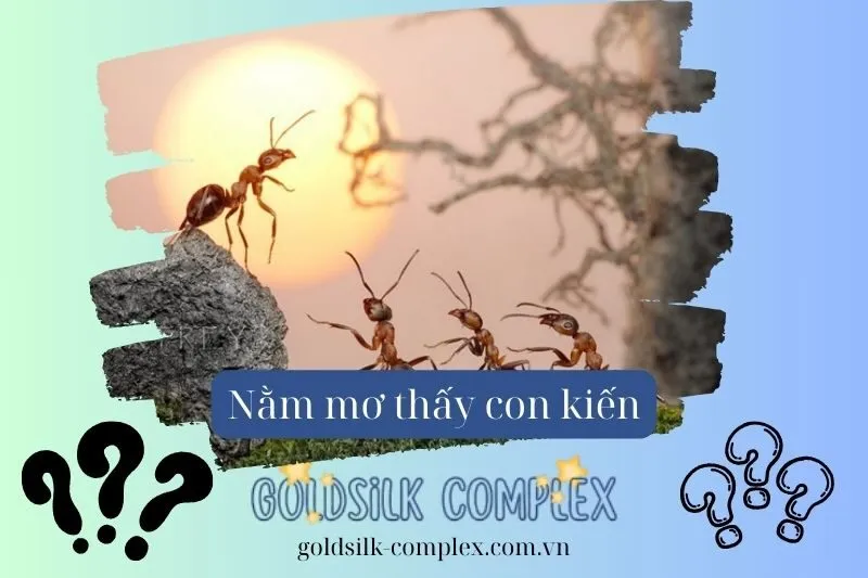 Mối liên kết giữa giấc mơ thấy kiến và các sự kiện trong cuộc sống