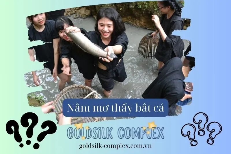 Nằm mơ thấy bắt cá Koi đến cá chép: Con số và điềm báo may mắn