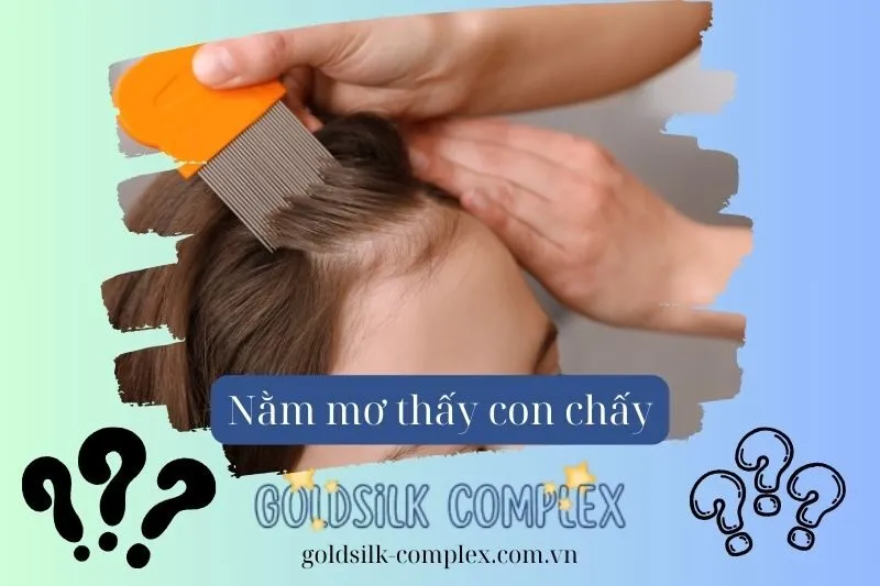 Nằm Mơ Thấy Bắt Chấy Và Giết Chấy