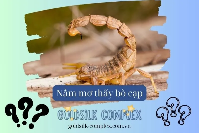 Nằm mơ thấy bò cạp: Giải mã điềm báo, con số may mắn và ý nghĩa 2025