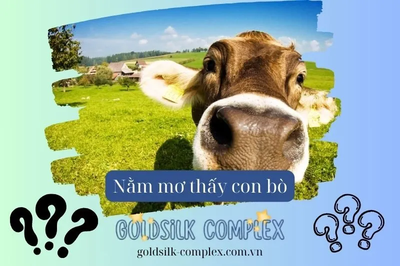 Nằm mơ thấy bò và những dấu hiệu về mối quan hệ cá nhân