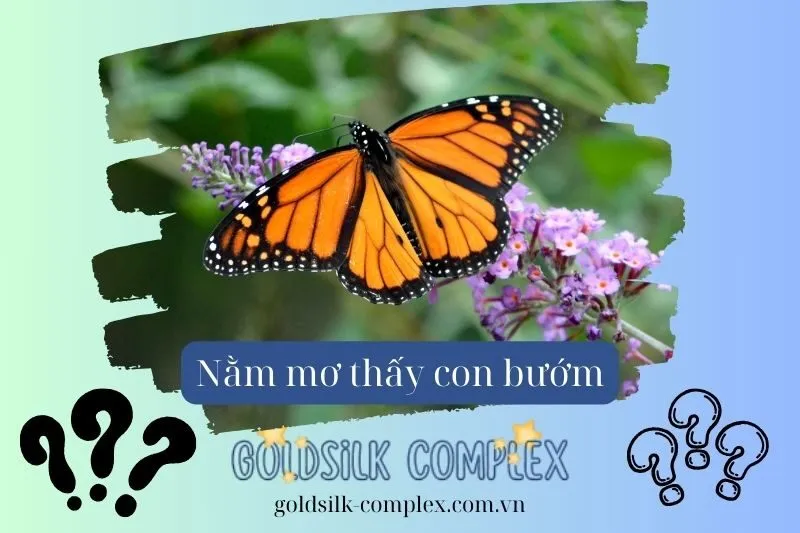 Nằm mơ thấy bướm: Con số may mắn, Ý nghĩa và Điềm báo 2025