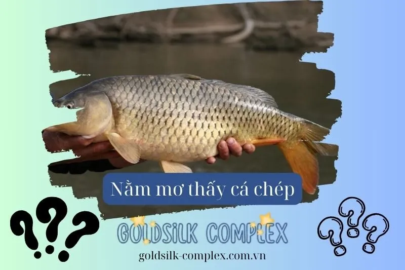 Nằm mơ thấy cá chép: Tình cảm, tài lộc, Con số may mắn 2025