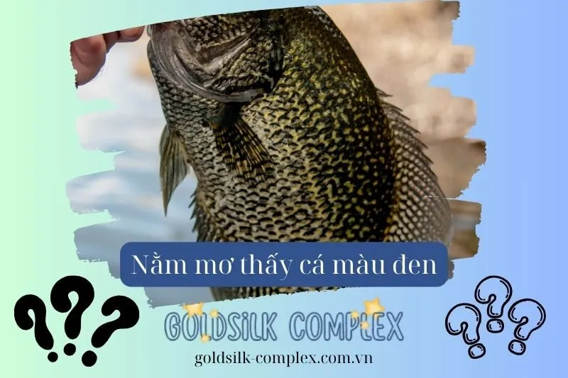 Nằm Mơ Thấy Cá Đen: Giải Mã Ý Nghĩa Và Điềm Báo Chi Tiết 2025