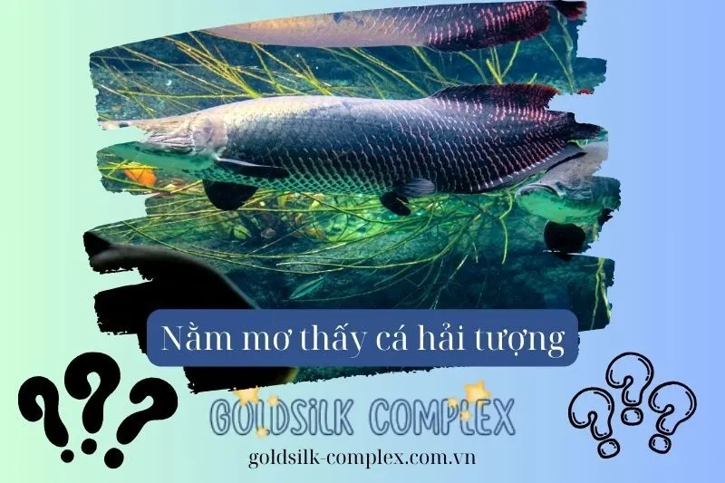 Nằm mơ thấy cá hải tượng: Điềm báo và con số may mắn mới nhất