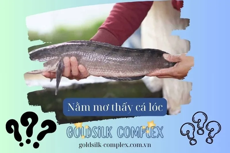 Nằm mơ thấy cá lóc: Tìm con số may mắn, Điềm báo và ý nghĩa chi tiết