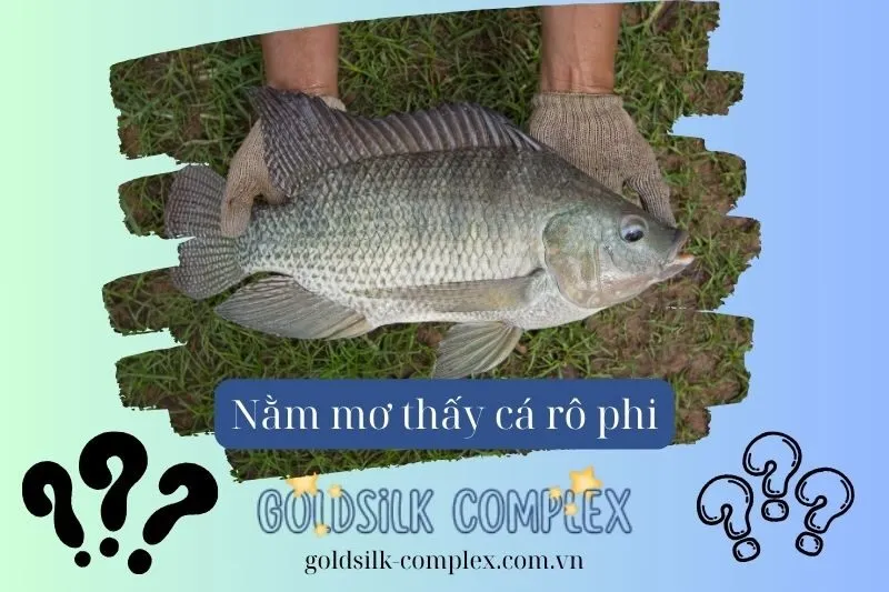 Nằm mơ thấy cá rô có ý nghĩa gì đối với các khía cạnh trong cuộc sống