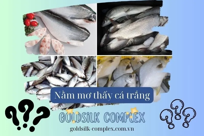 Nằm mơ thấy cá trắng: Giải mã điềm báo, ý nghĩa chi tiết và các con số may mắn