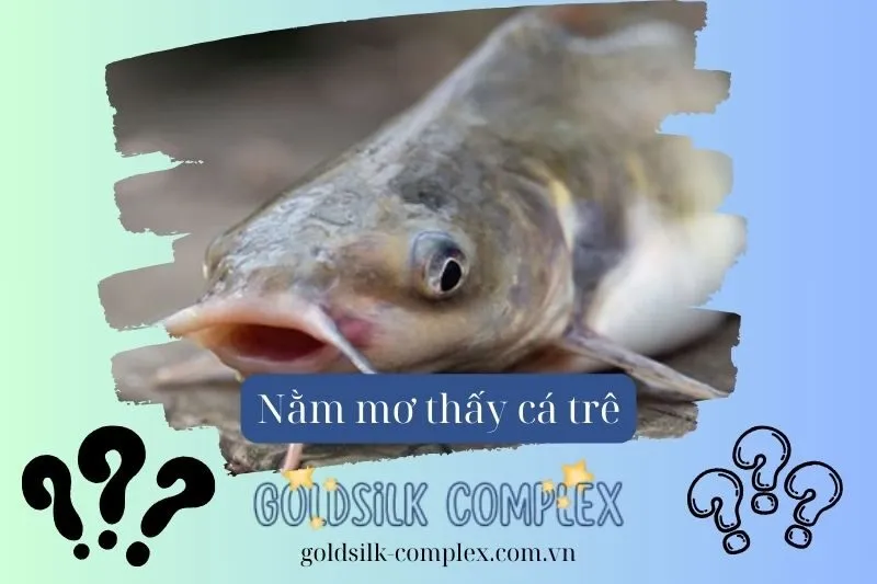 Nằm mơ thấy cá trê: Ý nghĩa, con số may mắn và điềm báo chi tiết 2025