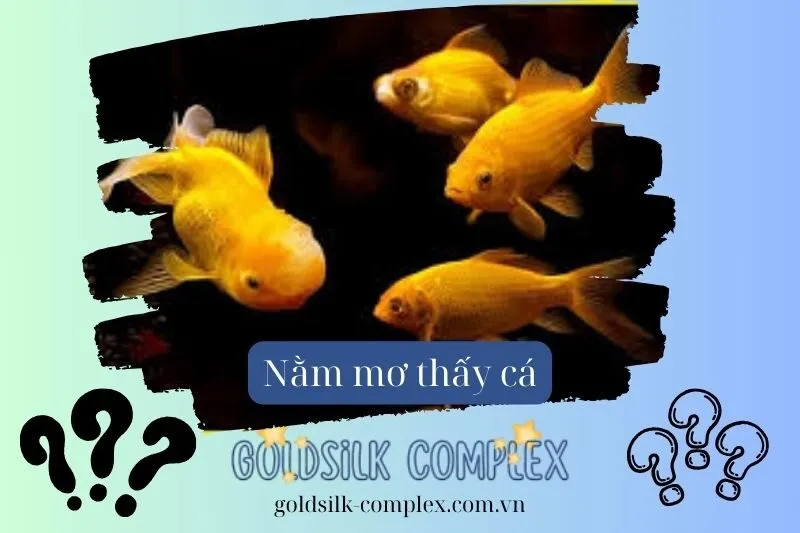 nằm mơ thấy cá