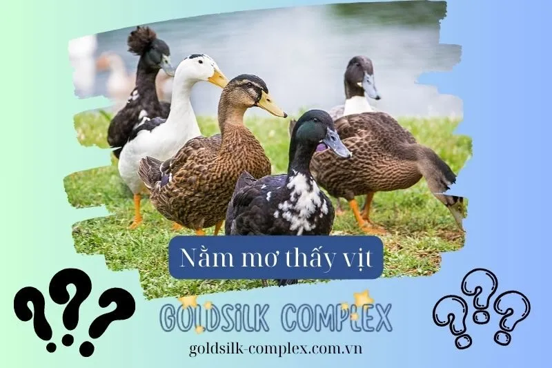 Nằm mơ thấy các loại vịt khác nhau và các thông điệp tâm linh