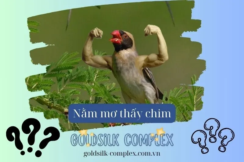 Nằm mơ thấy chim: Giải mã ý nghĩa các loài chim phổ biến, Con số may mắn 2025