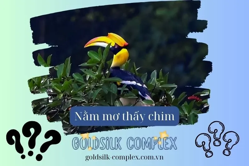 Nằm mơ thấy chim làm tổ và ý nghĩa liên quan đến tài chính