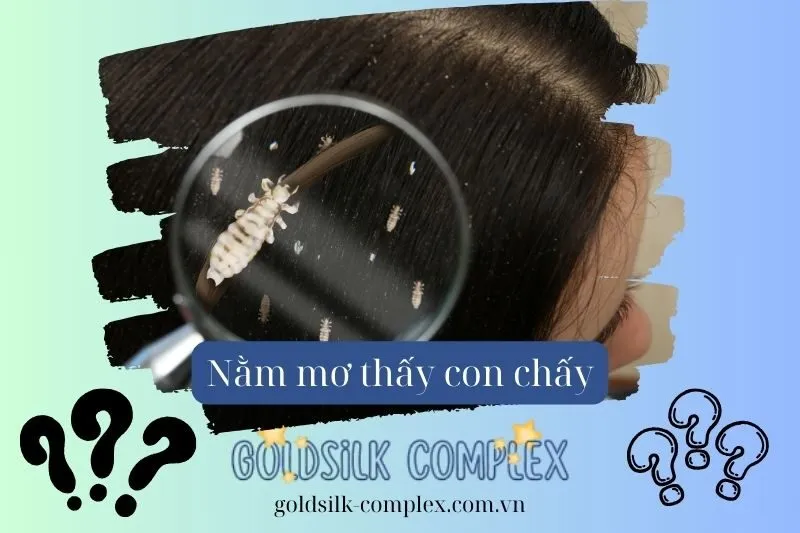 Nằm mơ thấy con Chấy mang Điềm Báo Gì? Giải Mã Chi Tiết