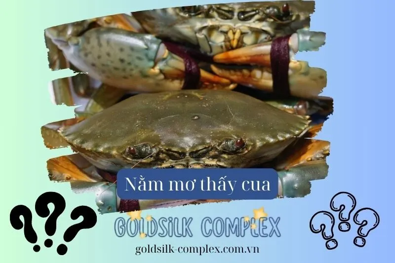 Nằm mơ thấy cua báo điềm tốt hay xấu