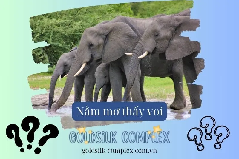 Nằm mơ thấy đàn voi báo hiệu điều gì cho gia đình