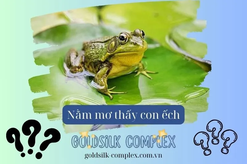 Nằm mơ thấy ếch: Điềm báo gì? Ý nghĩa các con số may mắn 2025