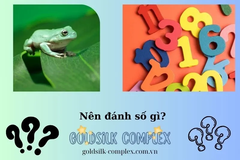 Nằm mơ thấy ếch nên chọn số may mắn nào