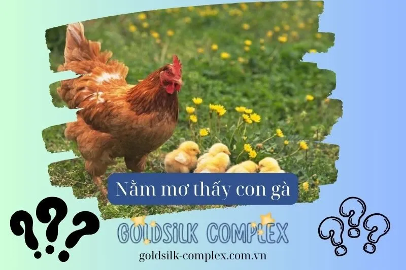 Nằm mơ thấy gà mang điềm báo gì