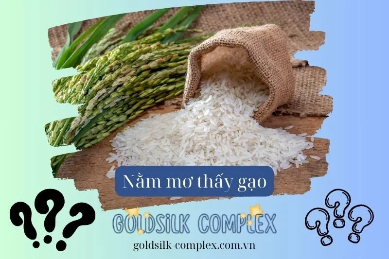 Nằm mơ thấy gạo có ý nghĩa gì? Điềm lành hay điềm xấu? Con số may mắn 2025