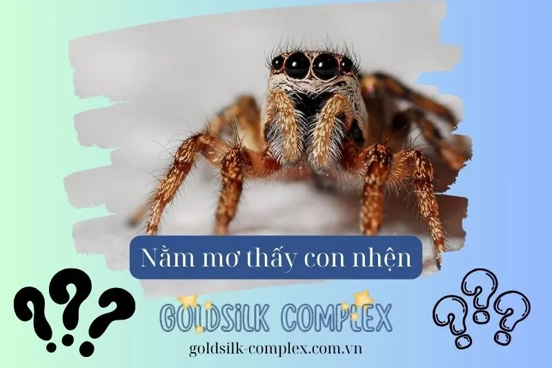 Nằm mơ thấy giết nhện có phải là điềm báo tốt hay xấu