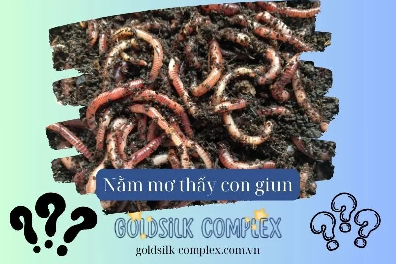Nằm Mơ Thấy Giun Sán: Điềm báo, Ý nghĩa và Con số may mắn 2025