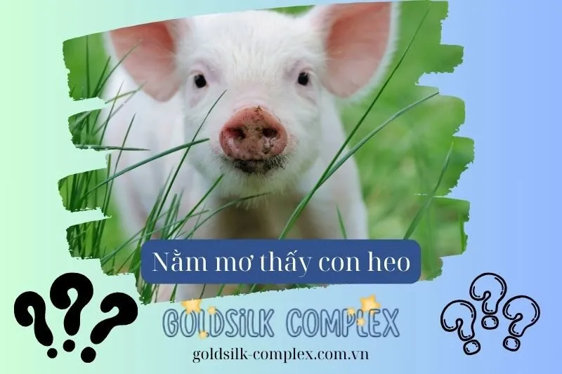 Nằm mơ thấy heo báo hiệu điềm lành hay dữ? Con số may mắn 2025