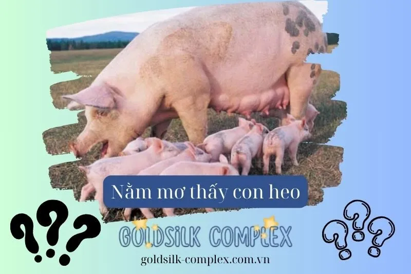 Nằm mơ thấy heo đẻ: Báo hiệu điềm lành hay dữ