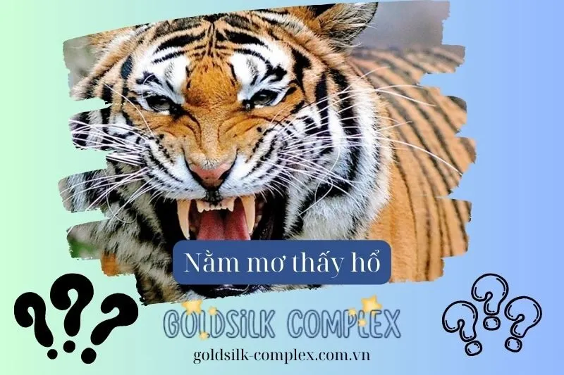 Nằm mơ thấy hổ có ý nghĩa gì? Giải mã điềm báo từ giấc mơ và các con số may mắn