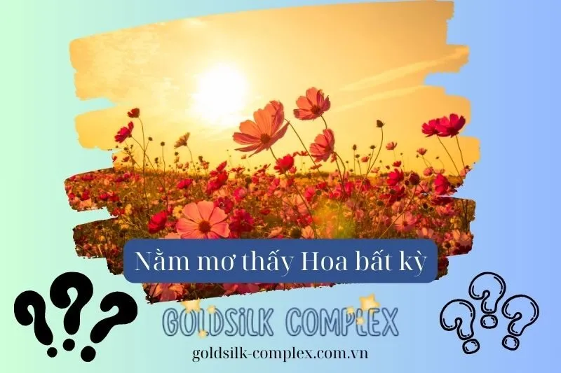 Nằm mơ thấy hoa có ý nghĩa gì? Giải mã chi tiết điềm báo về con số may mắn
