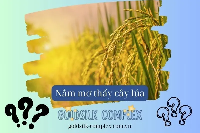 Nằm Mơ Thấy Lúa: Ý nghĩa, con số may mắn 2025 và Điềm Báo Tốt Hay Xấu?