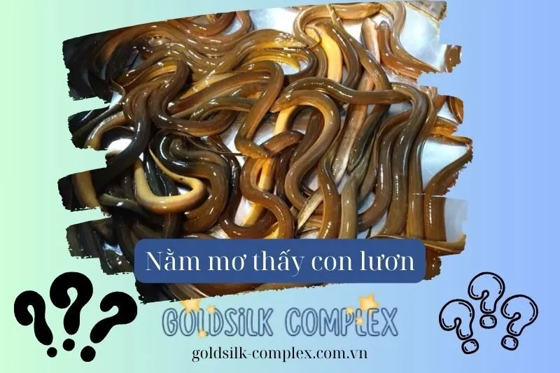 Nằm mơ thấy lươn 2025: Giải mã điềm báo tốt hay xấu, ý nghĩa và con số may mắn