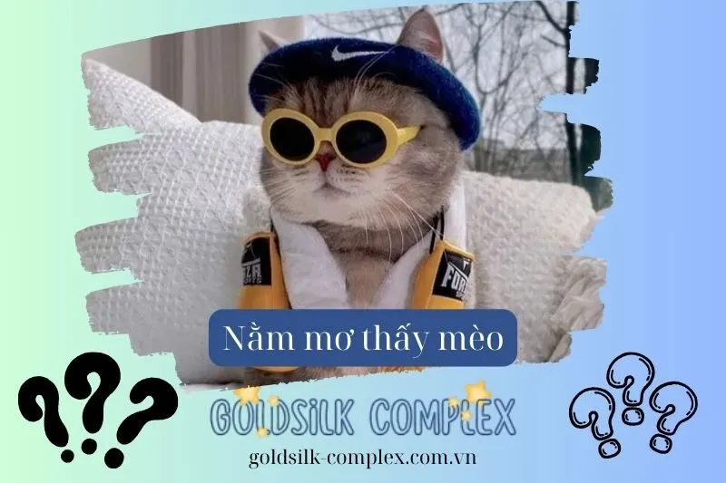 Nằm mơ thấy mèo: Con số và Điềm báo gì trong công việc và tình cảm?