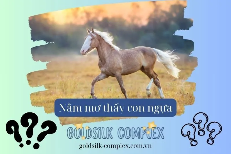 Nằm mơ thấy ngựa có ý nghĩa gì? Giải mã giấc mơ về con số may mắn 2025